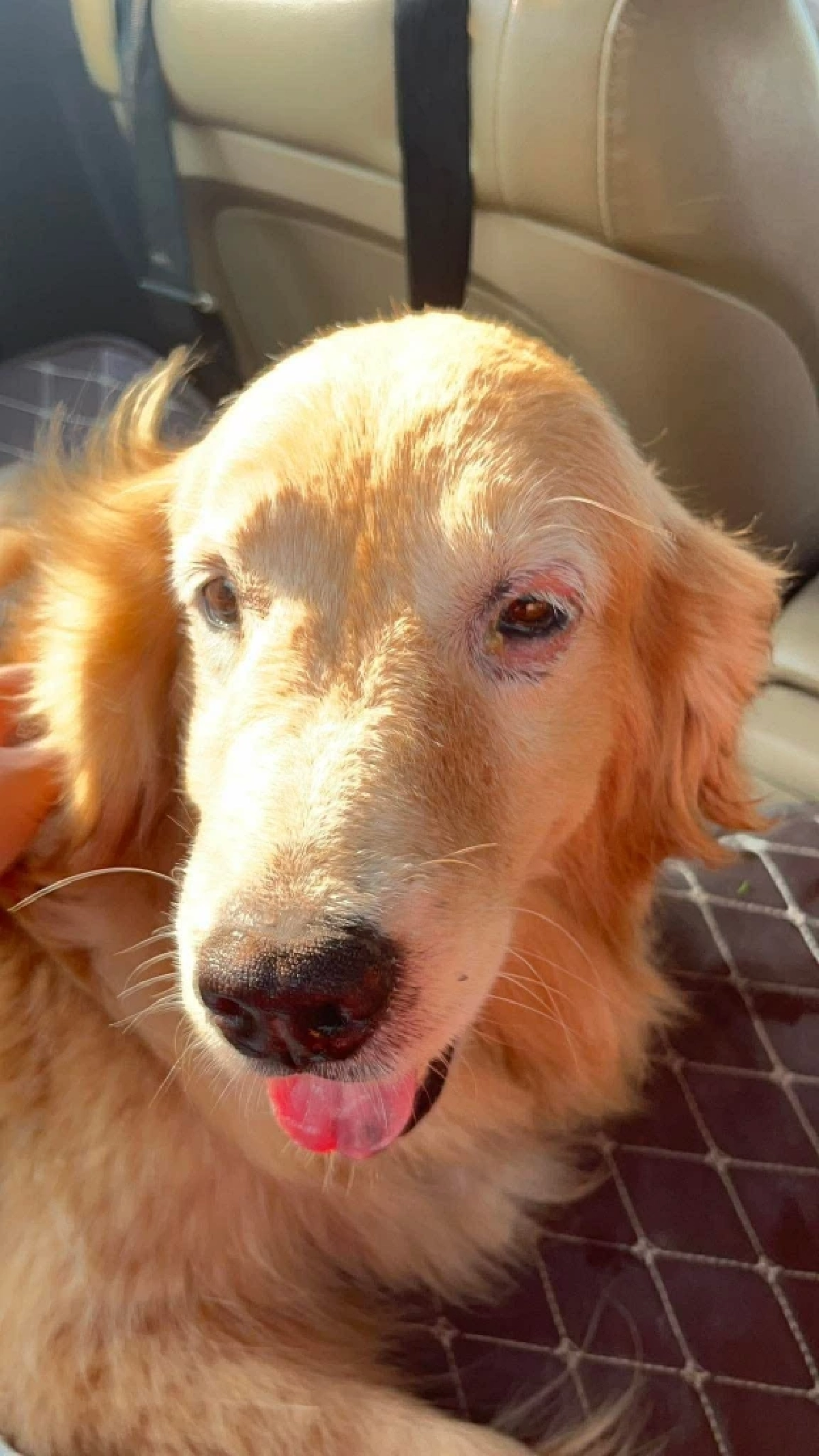 ภาพ @ไมกี้จอมป่วน