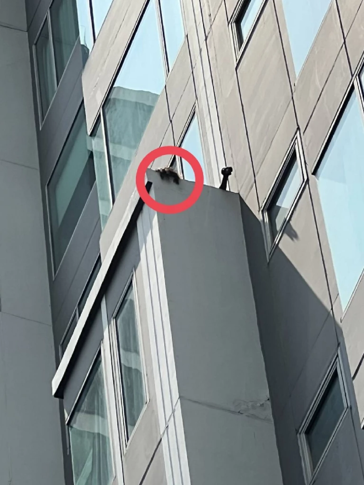 ยิ่งสลด เปิดข้อความสุดท้าย สาวต่างชาติ ก่อนเกิดเหตุสะเทือนขวัญ