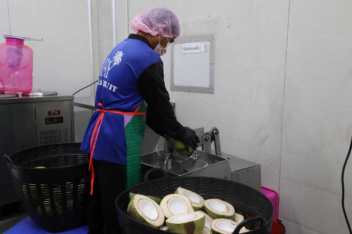 "ดอยคำ"ผนึก พี วาย ไทยฟรุต แก้วิกฤตมะพร้าวล้นตลาดราชบุรี สร้างความมั่นคงให้เกษตรกร