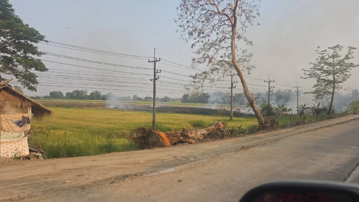 พิษณุโลกวิกฤต! ชาวนายังเผาฟางควันคลุ้ง ค่าฝุ่นพุ่งกระฉูด