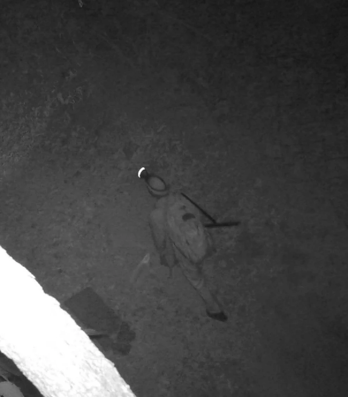 หลักฐานมัดตัว สมาชิก อบต. เผาป่าวอด ล่ากระทิงแก่งกระจาน