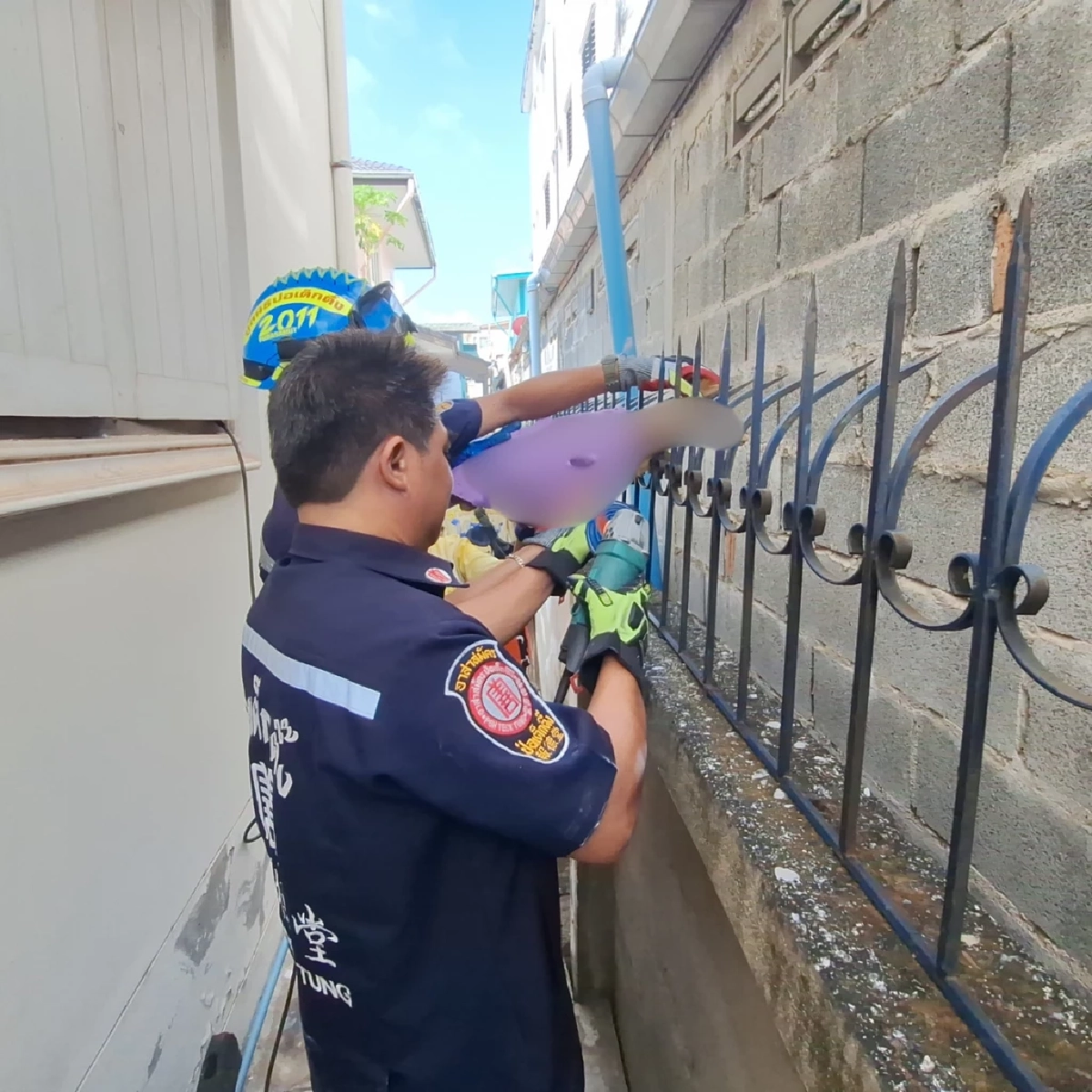 วินาทีชีวิต! แมวส้มเคราะห์ร้ายร่วงตกหลังคาถูกเหล็กเสียบ