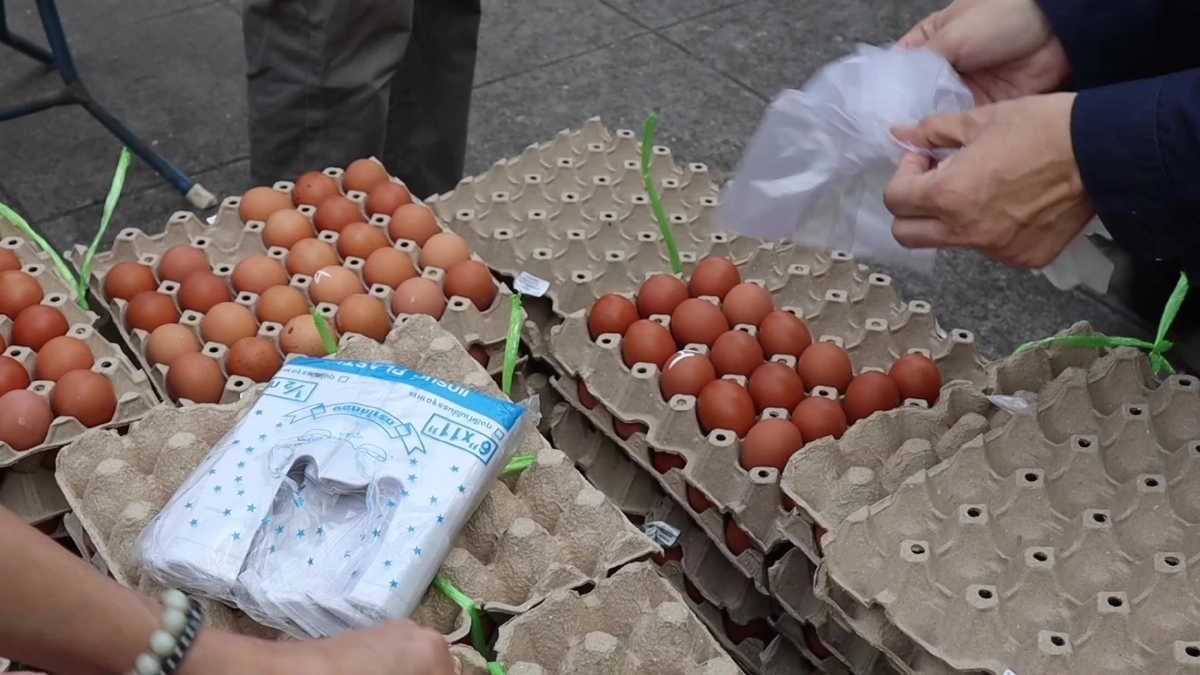 หนุ่มขนไข่ 6,000 ฟองแจกฟรีชาวอุดรฯ ช่วยลดภาระน้ำมันแพง