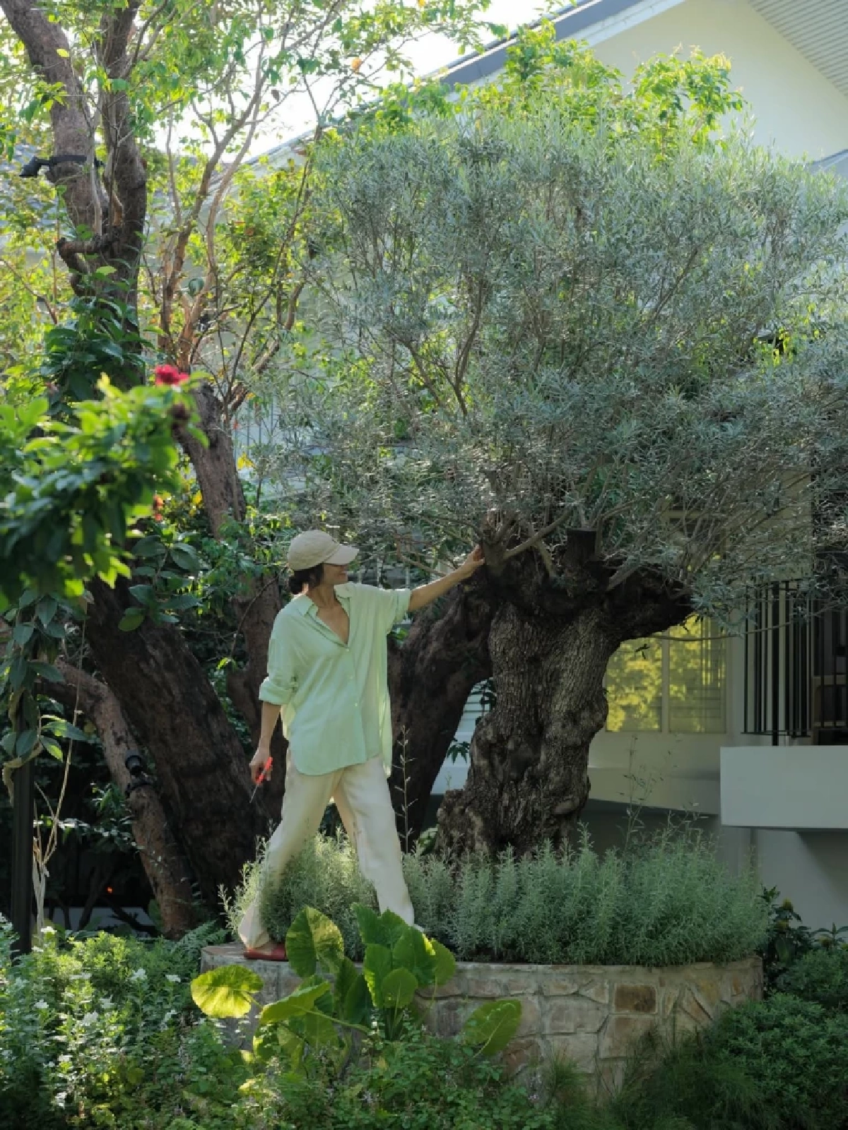 แอน ทองประสม ใช้ชีวิตสโลว์ไลฟ์  เผยความสุขที่ไม่ต้องค้นหาไกล