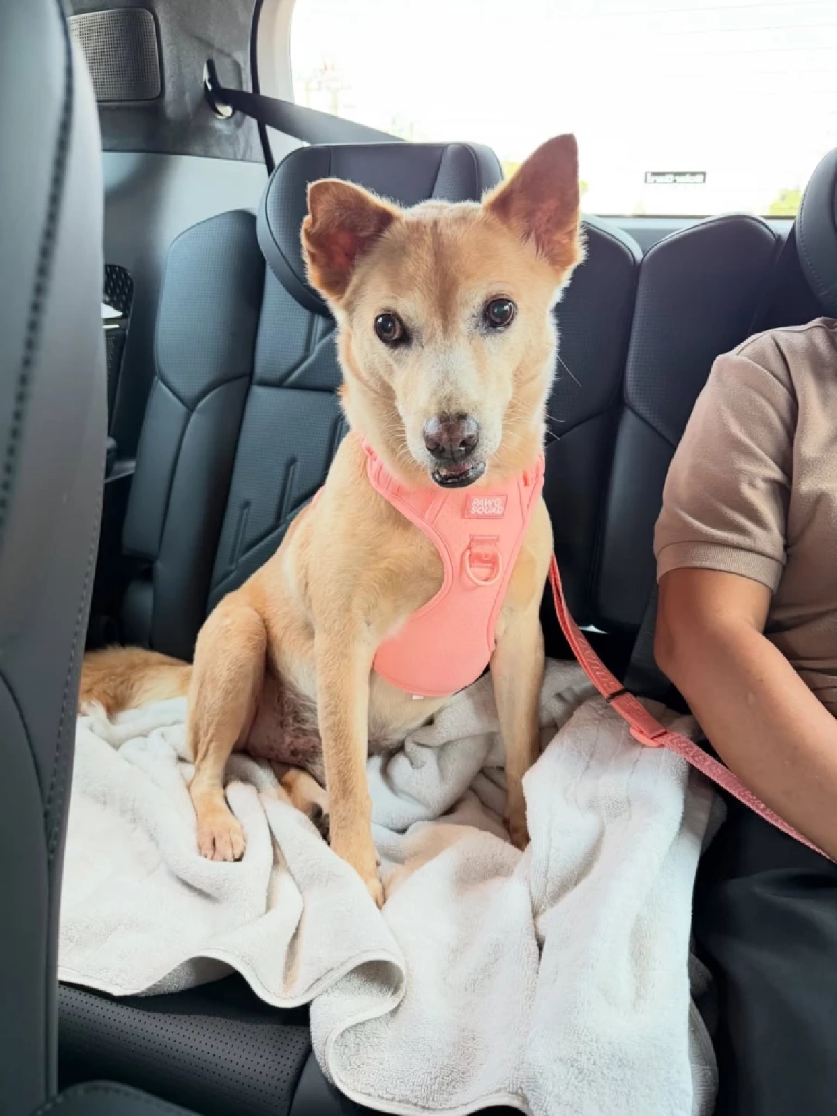 แฟนคลับส่งกำลังใจ อั้ม พัชราภา  หลัง “น้องถั่ว” ต้องสู้มะเร็ง 