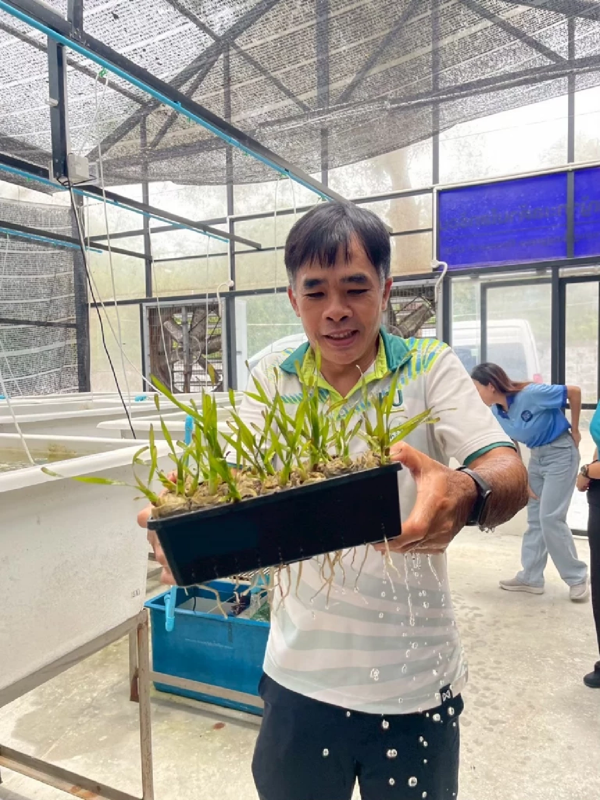 สุดเจ๋ง ม.เกษตรฯ เพาะเนื้อเยื่อหญ้าทะเลสำเร็จครั้งแรกของโลก