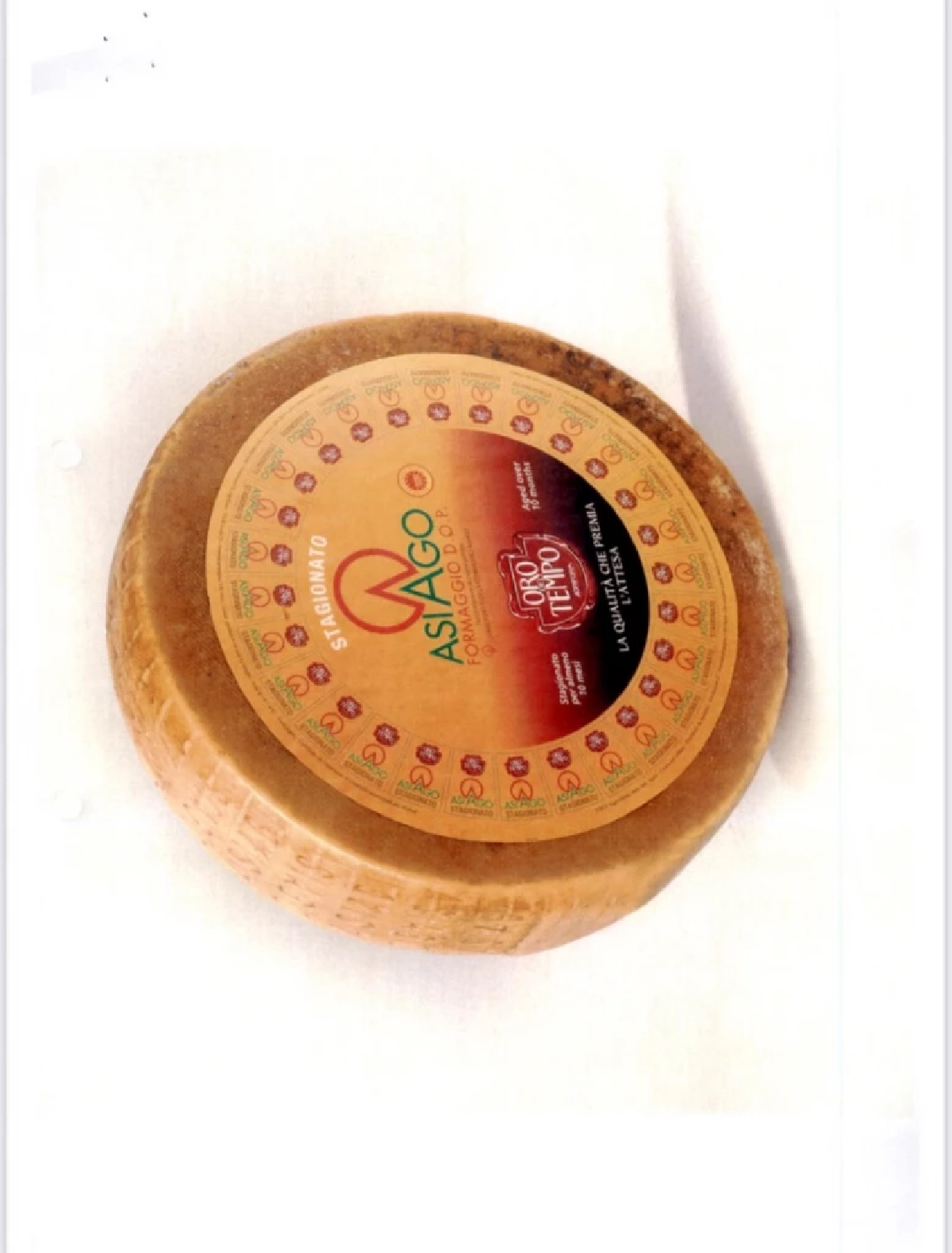 ไทย รับขึ้นทะเบียน GI ชีสชื่อดังจากอิตาลี "อาสิอาโก - กอร์กอนโซล่า"