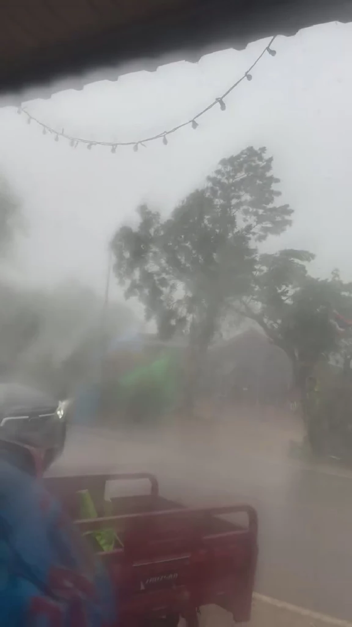 พายุฤดูร้อนถล่มโคราช ปากช่อง-สีคิ้วอ่วม ลมกระโชกแรงต้นไม้หัก