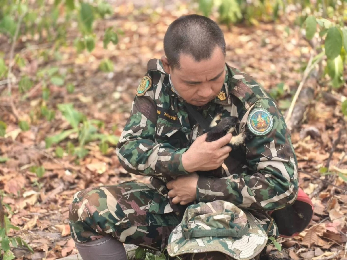 นาทีชีวิต! ช่วยลูกพญากระรอกดำ หนีตายจากวิกฤตไฟป่าสุดโหด