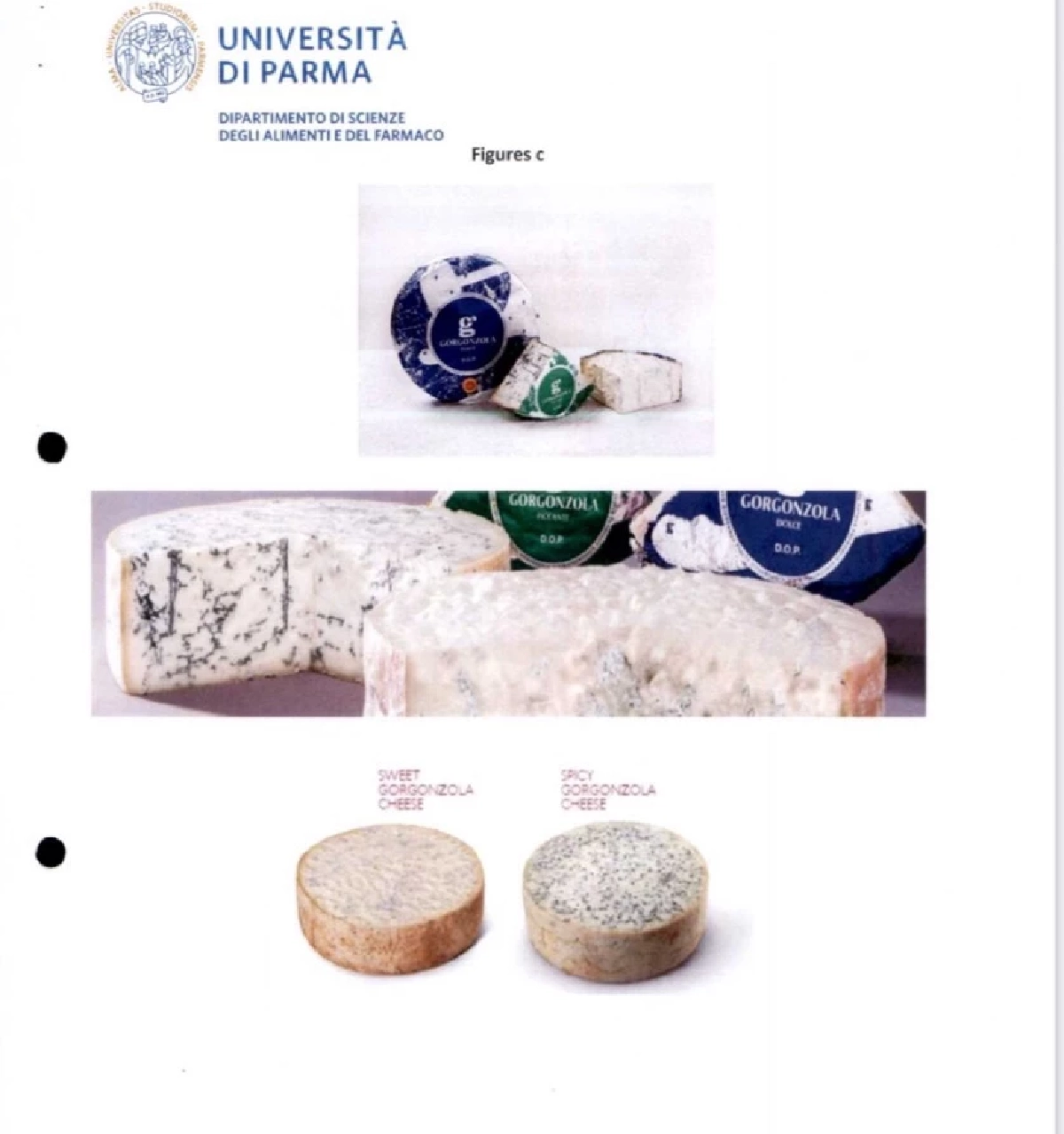 ไทย รับขึ้นทะเบียน GI ชีสชื่อดังจากอิตาลี "อาสิอาโก - กอร์กอนโซล่า"