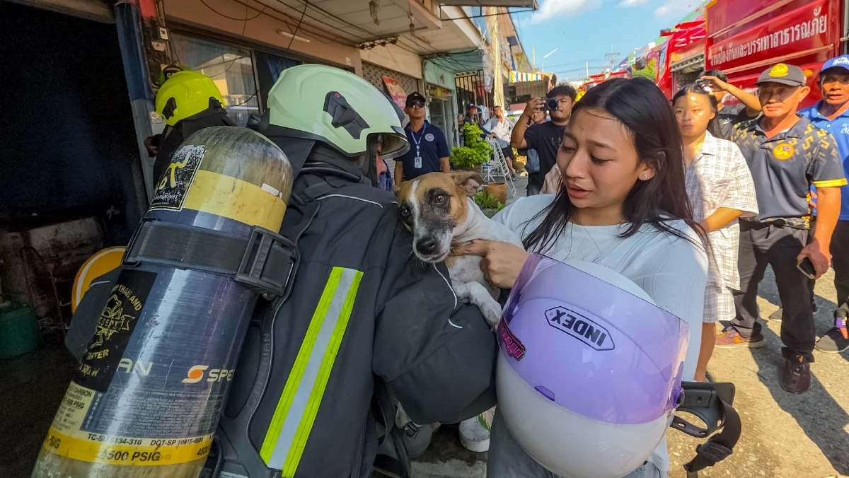 ไฟไหม้ตึกแถวสัตหีบ จนท.ลุยควันช่วย 2 สุนัขรอดหวุดหวิด