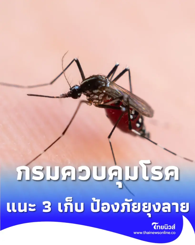 เปิดเทอมปลอดภัย กรมควบคุมโรค แนะมาตรการ 3 เก็บ ป้องภัยยุงลาย