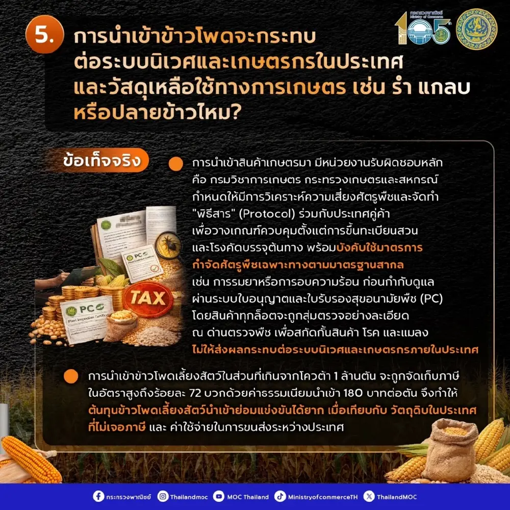 พาณิชย์ เคลียร์ดราม่า นำเข้าข้าวโพด ย้ำคุมเข้ม ไม่กระทบชาวไร่