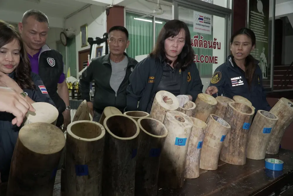 หนองคายยึดงาช้างท่อน 130 กิโลฯ คาริมโขง แก๊งค้าสัตว์ป่าหนีรอด