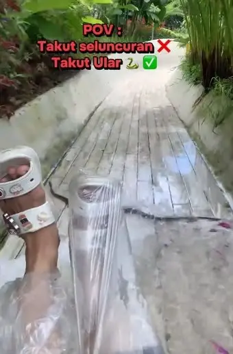 ระทึกของจริง นักท่องเที่ยวกรี๊ดลั่น "งู" โผล่เล่นสไลเดอร์ด้วย