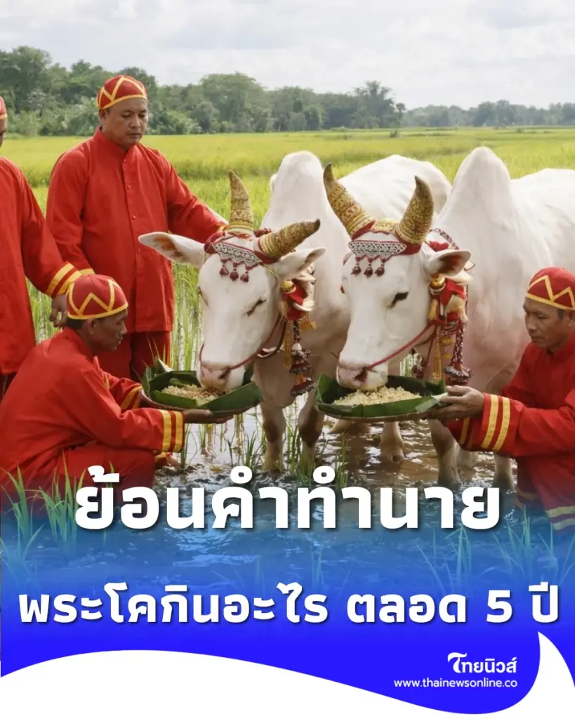 ส่องคำทำนายพระโคย้อนหลัง 5 ปี จากยุคน้ำหลากสู่ปีทองแห่งการค้าและความมั่งคั่ง