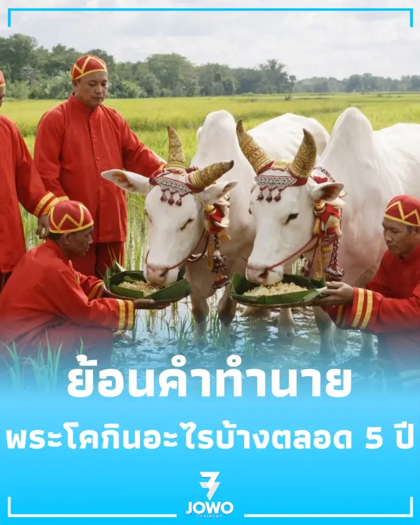 ส่องคำทำนายพระโคย้อนหลัง 5 ปี จากยุคน้ำหลากสู่ปีทองแห่งการค้าและความมั่งคั่ง