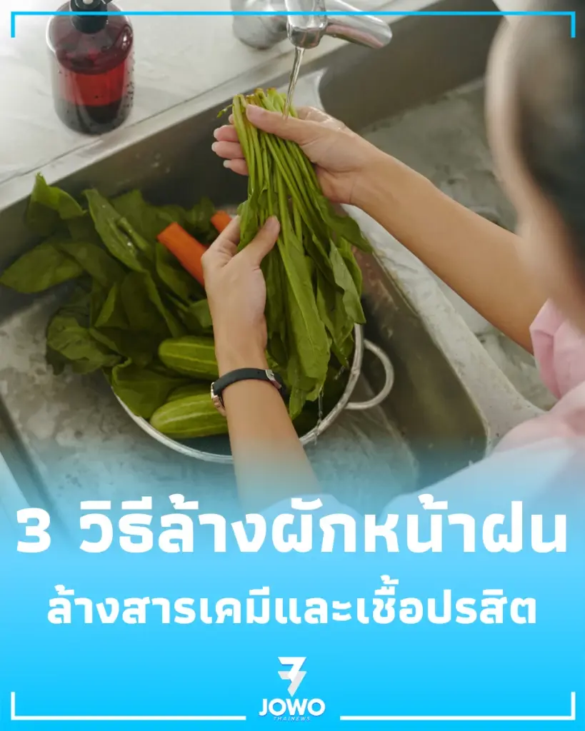 วิธีล้างผักหน้าฝนให้ปลอดภัย เจาะลึกผลวิจัยล้างสารเคมีและเชื้อปรสิต