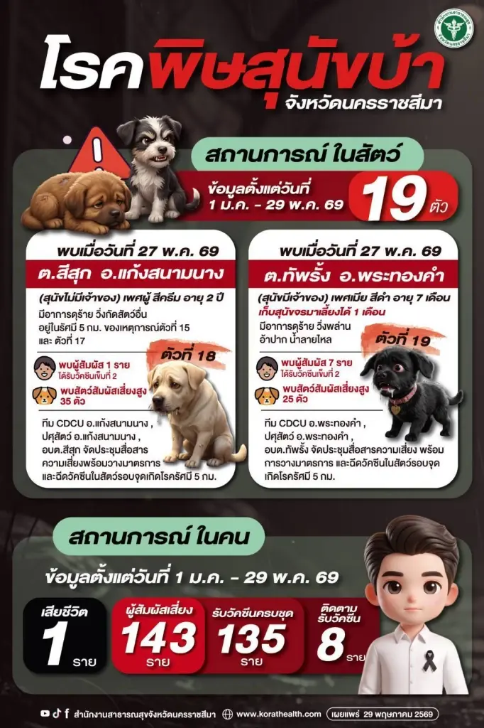 โคราชพบสัตว์ติดโรคพิษสุนัขบ้าพุ่ง 19 ตัว เซ่นแล้ว 1 ชีวิต