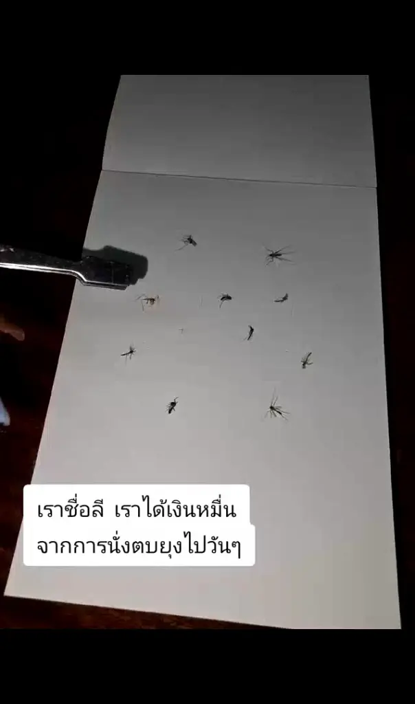 จากยุงสู่เงิน สาวนักครีเอทีฟ “ยุงฟอร์มไทยแลนด์” ต่างชาติแห่ซื้อ