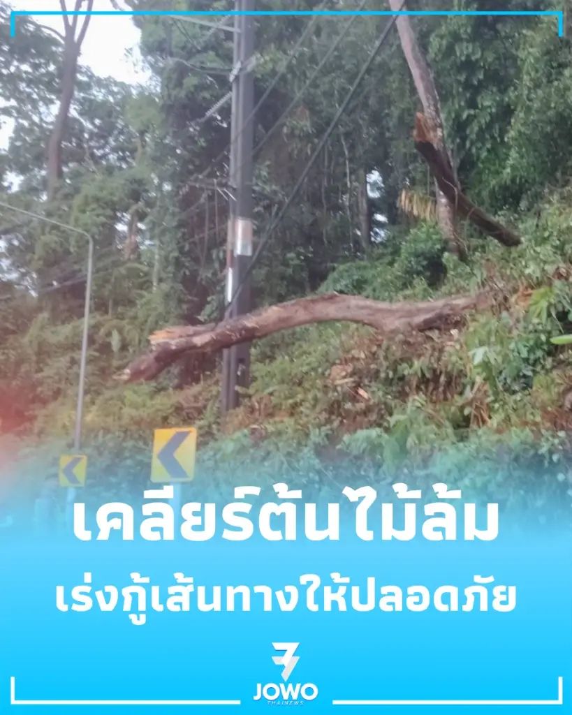 พายุผ่านแต่ห่วงไม่คลาย ตร.ทางหลวงลุยเคลียร์ต้นไม้ล้ม