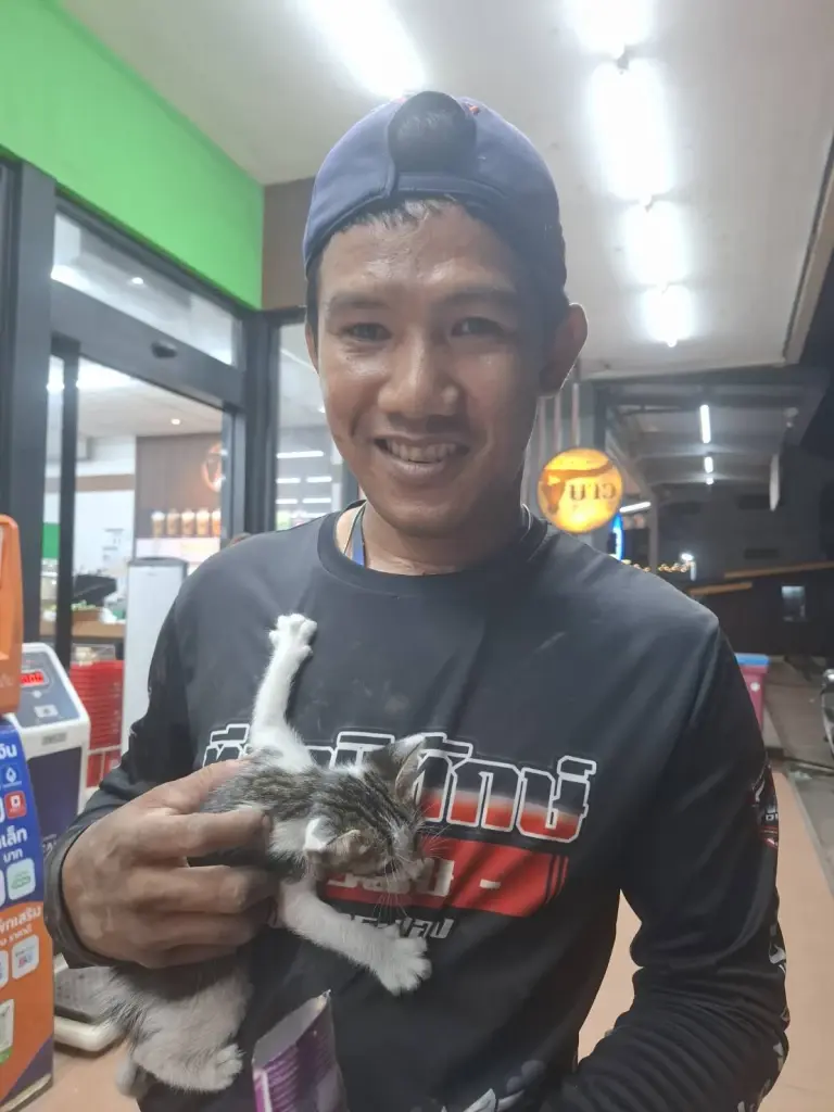 ยอมพังเป็นพัง! เจ้าของรถไฟฟ้า สั่งถอดล้อช่วยลูกแมวติดใต้ท้องรถ