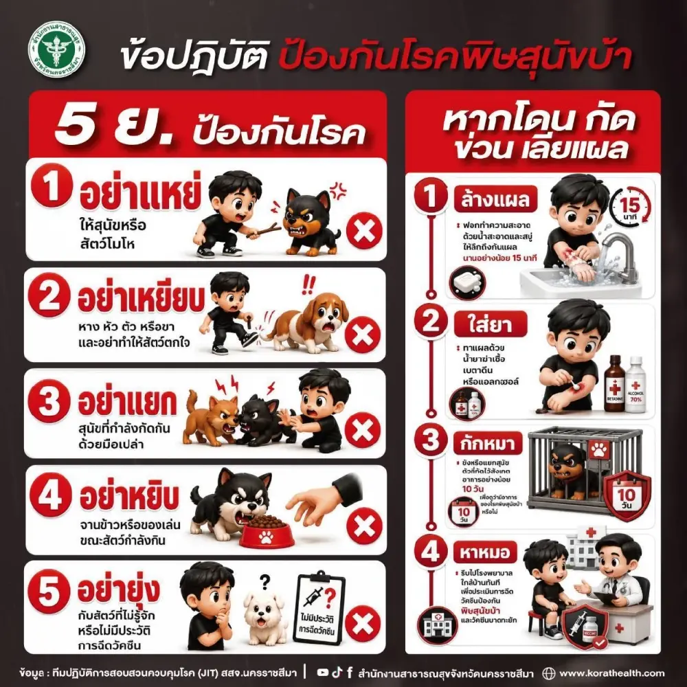โคราชพบสัตว์ติดโรคพิษสุนัขบ้าพุ่ง 19 ตัว เซ่นแล้ว 1 ชีวิต