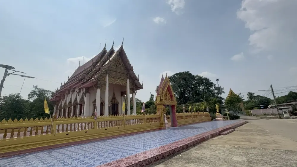 ชาวบ้านอ่างทองไม่หวั่นข่าวไวรัส ยันค้างคาวแม่ไก่วัดจันทรารามไร้เชื้อ