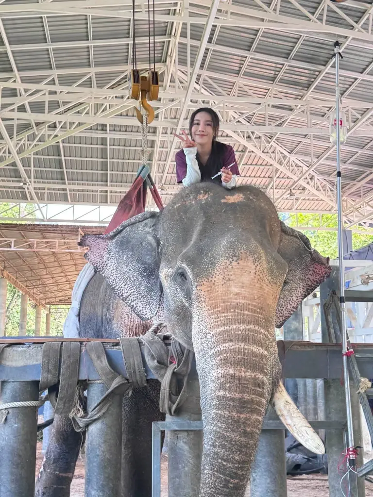 น้ำตาร่วง! เปิดภาพล่าสุด "พลายเดียว" ขาหัก 3 เดือน หมอโบว์ยอมรับอาการไม่สู้ดี