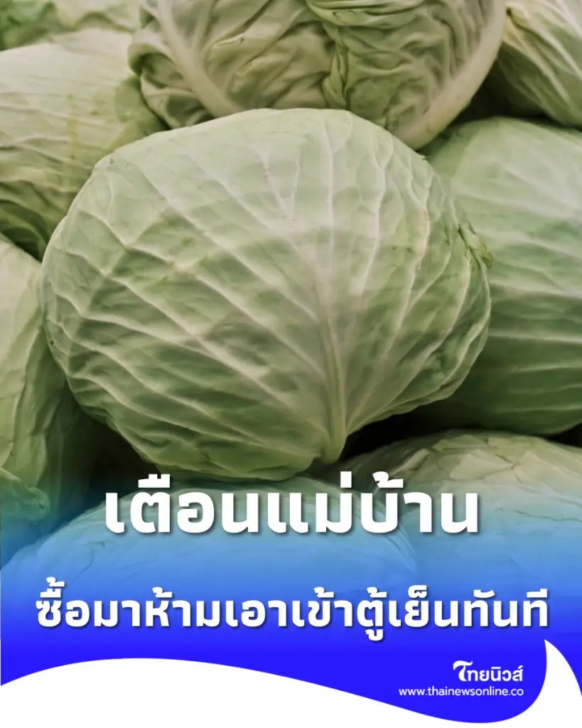 เตือนแม่บ้าน ข้ามขั้นตอนการผึ่งผัก ระวังได้กะหล่ำปลีเน่าจากข้างใน 