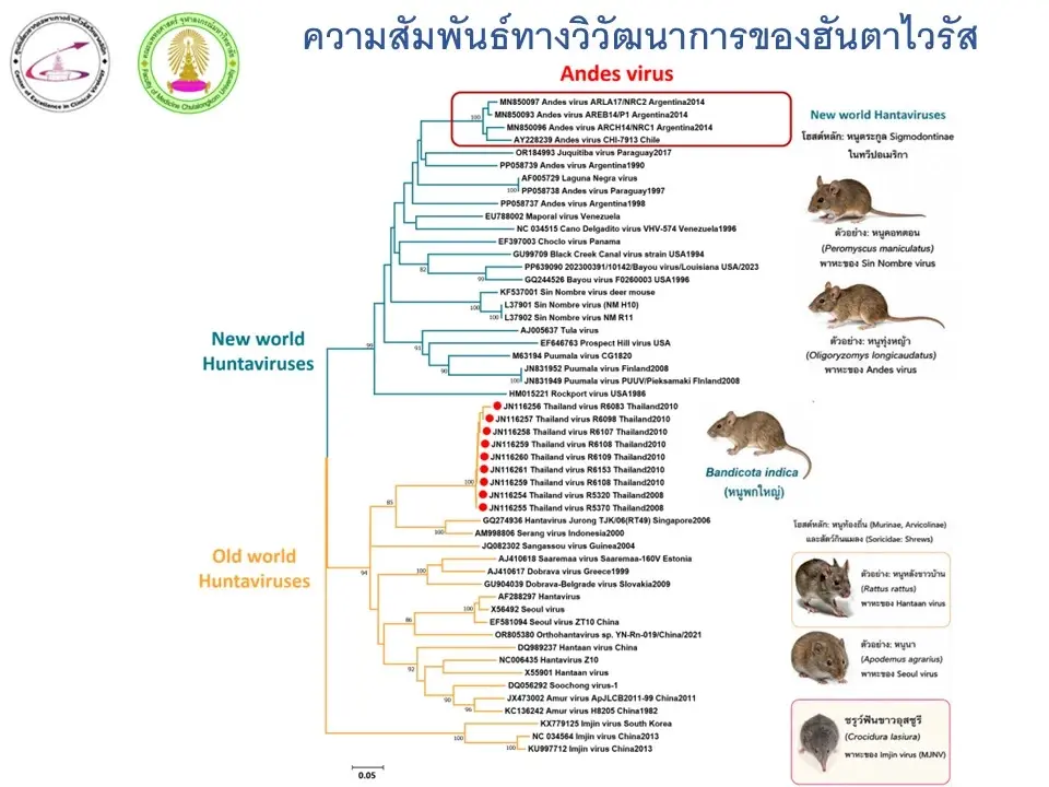 "หมอยง" พูดแล้ว "ไวรัสฮันตา" ระบาดต่างประเทศ ไทยเสี่ยงหรือไม่