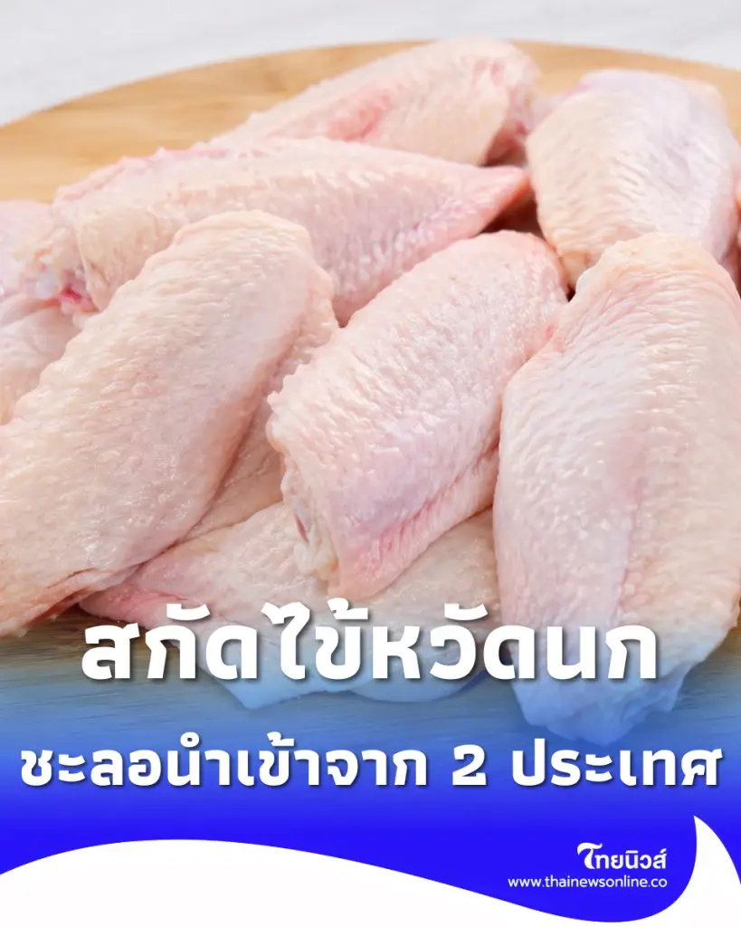 ราชกิจจาฯสั่งเบรค ชะลอนำเข้าสัตว์ปีก-ซาก จาก 2 ประเทศ สกัดหวัดนก