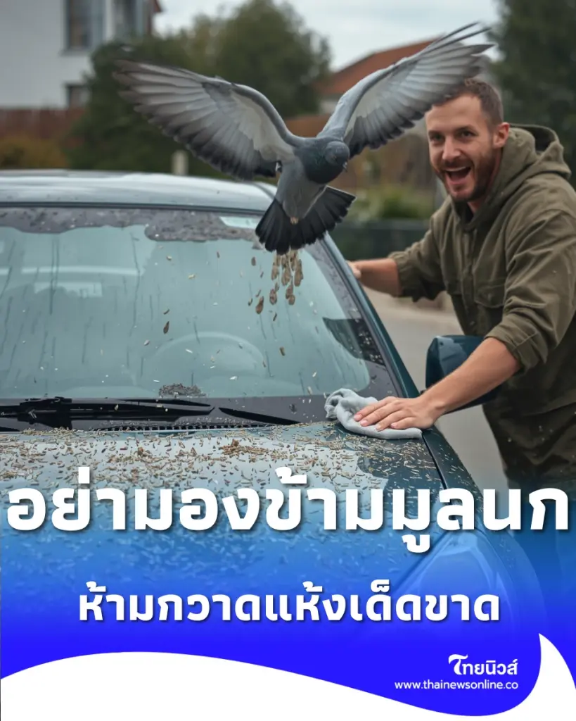 ภัยเงียบมูลนกพิราบ สูดสปอร์เชื้อราทำลายปอด เสี่ยงสมองอักเสบ
