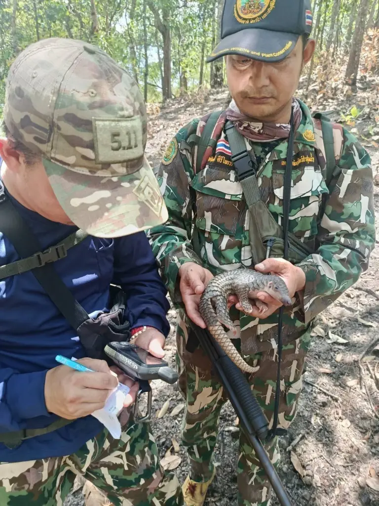 เจ้าหน้าที่ช่วยลูกตัวนิ่มพลัดหลงแม่ คาดหนีจากไฟป่าแม่ฮ่องสอน