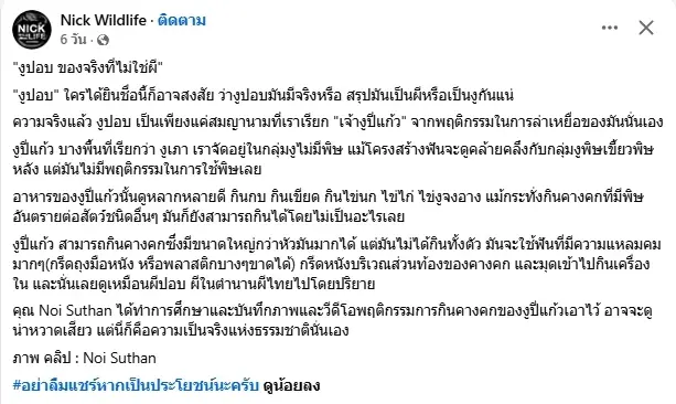 ฮือฮา รู้แล้วงูอะไร ถูกเรียก "งูปอบ" เห็นวิธีกินเหยื่อแล้วขนลุก