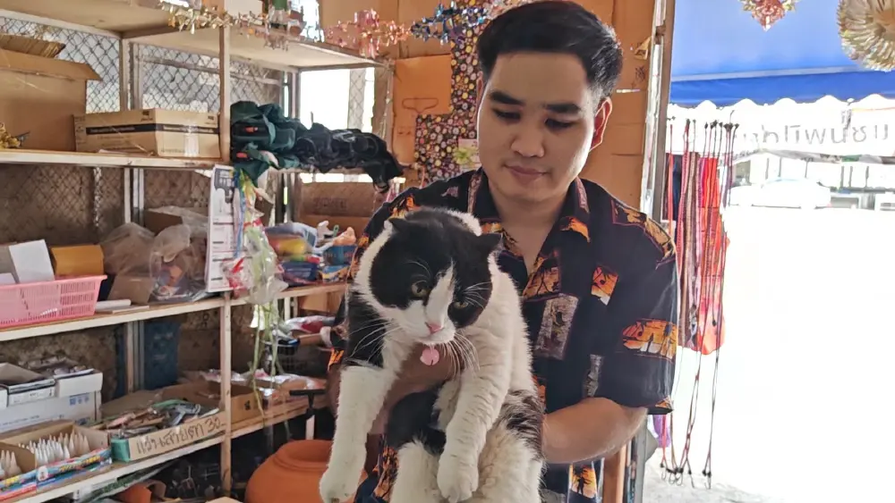 ระทึกไซบีเรียน 3 ตัวบุกไล่แมว ถึงในร้านชำที่ลำปาง ลั่นโชคดีที่รอด