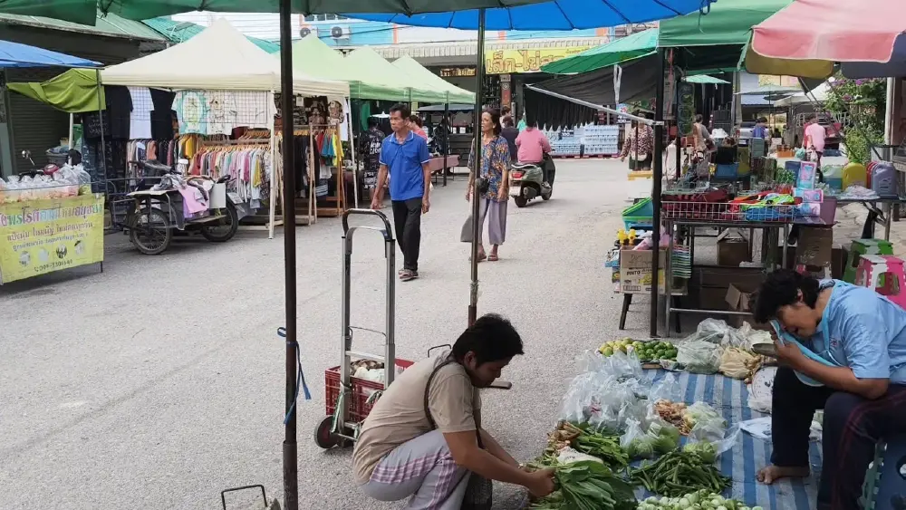 ตลาดนัดหนองฉางซบเซา แม่ค้าหวังไทยช่วยไทยพลัสฟื้นยอด