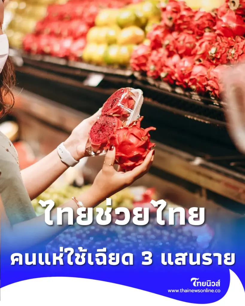 ไทยช่วยไทยกระหึ่ม คนแห่ใช้เฉียด 3 แสนราย เงินพุ่ง 33 ล้าน