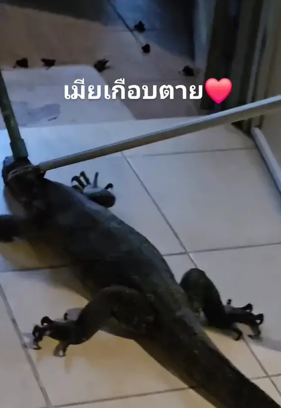 ป๋อง กพล เผยเมียกรี๊ดลั่น ตัวเงินตัวทองเข้าบ้าน แห่ขอบ้านเลขที่