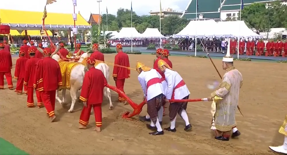เปิดผลเสี่ยงทาย วันพืชมงคล 69 พระโค กินถั่ว น้ำ หญ้า เหล้า