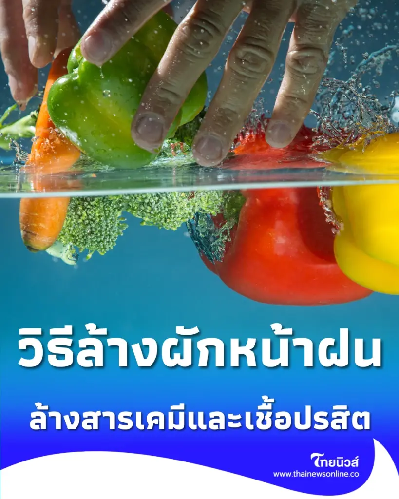 วิธีล้างผักหน้าฝนให้ปลอดภัย เจาะลึกผลวิจัยล้างสารเคมีและเชื้อปรสิต