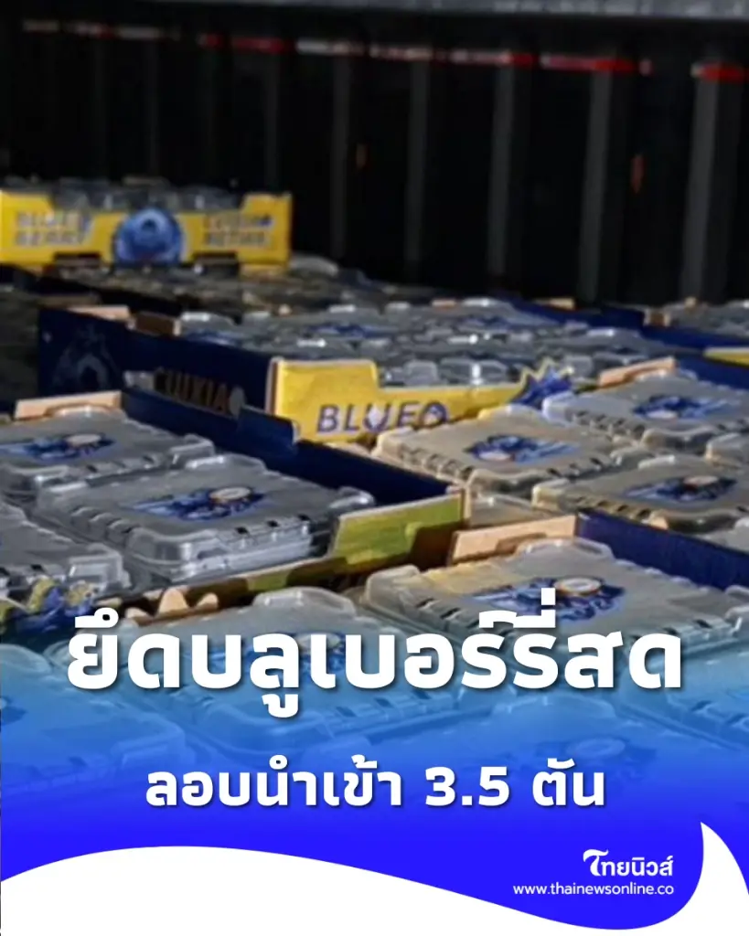  กรมศุลกากรตรวจยึด บลูเบอร์รี่สด ไม่สำแดงนำเข้า จากจีนกว่า 3.5 ตัน