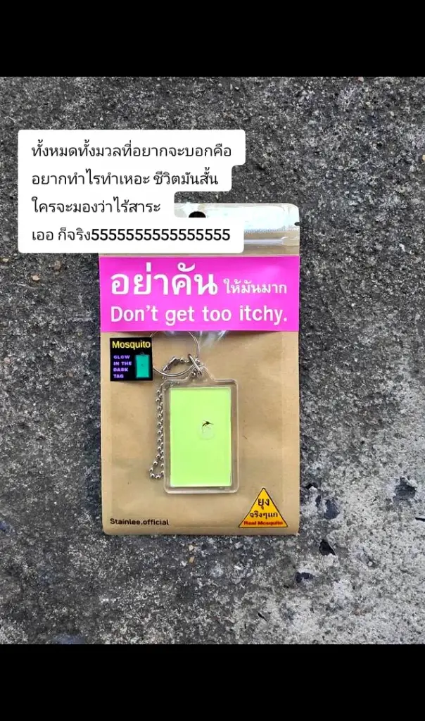 จากยุงสู่เงิน สาวนักครีเอทีฟ “ยุงฟอร์มไทยแลนด์” ต่างชาติแห่ซื้อ