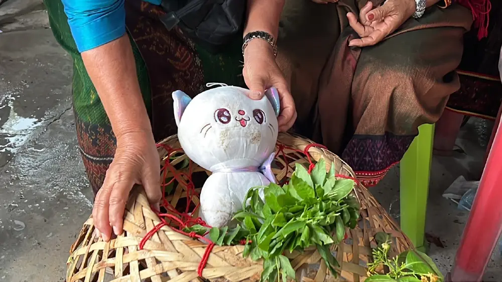 ความเชื่อ "แห่นางแมว" ขอฝน เมื่อวัฒนธรรมต้องปรับตัวตามยุคสมัย
