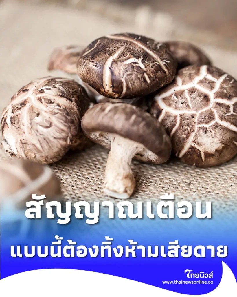 3 สัญญาณเตือน เห็ดในตู้เย็นแบบนี้ต้องทิ้งห้ามเสียดาย