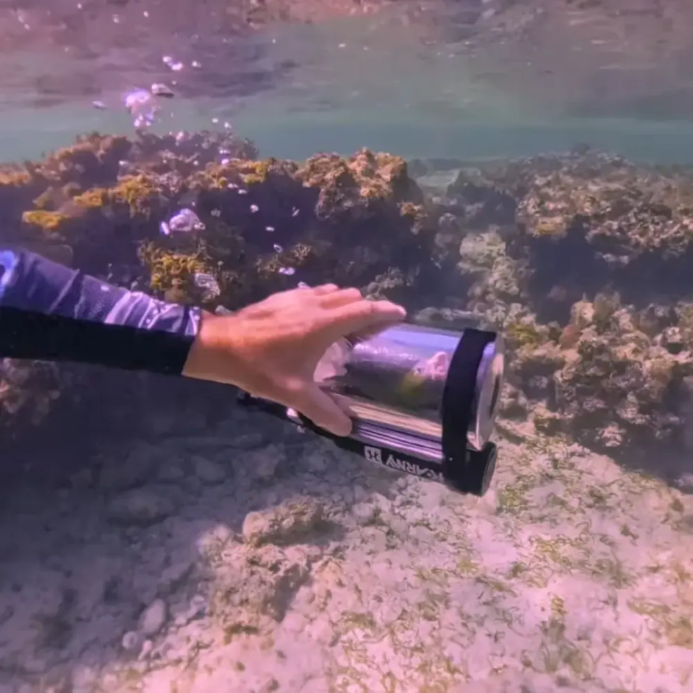 สปอยล์หนักมาก หนุ่มต่างชาติ พานกแก้วดำน้ำทะเล กลายเป็นไวรัล