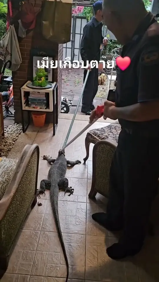 ป๋อง กพล เผยเมียกรี๊ดลั่น ตัวเงินตัวทองเข้าบ้าน แห่ขอบ้านเลขที่