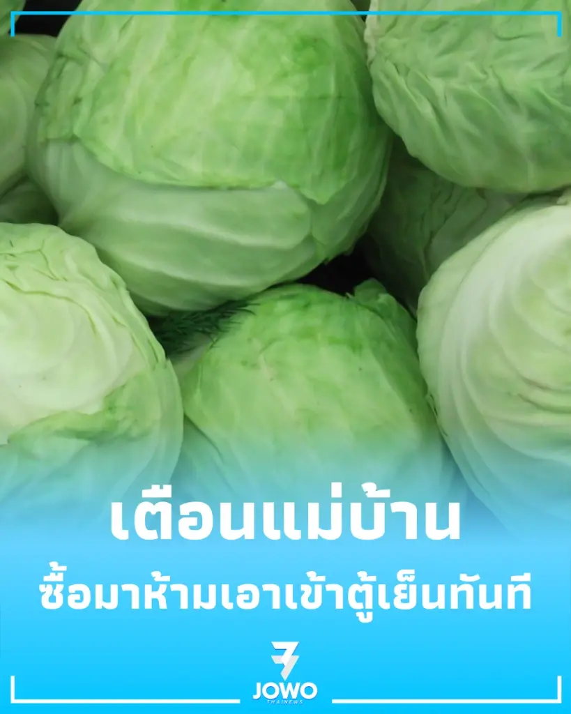 เตือนแม่บ้าน ข้ามขั้นตอนการผึ่งผัก ระวังได้กะหล่ำปลีเน่าจากข้างใน 
