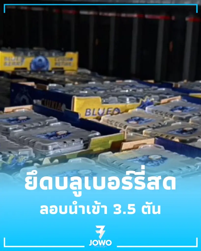  กรมศุลกากรตรวจยึด บลูเบอร์รี่สด ไม่สำแดงนำเข้า จากจีนกว่า 3.5 ตัน