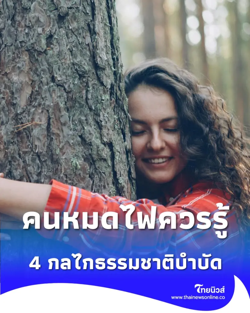 ทำไมการกอดต้นไม้-อาบป่า ถึงช่วยรักษาโรคหมดไฟได้จริง